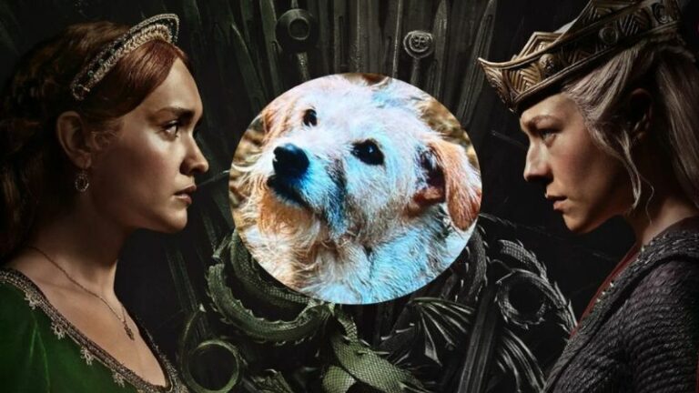 Bobby, el perro rescatado para conformar el elenco de House of the Dragon