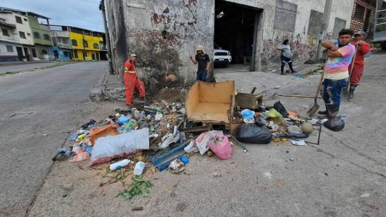 Toneladas basura recolectadas capital