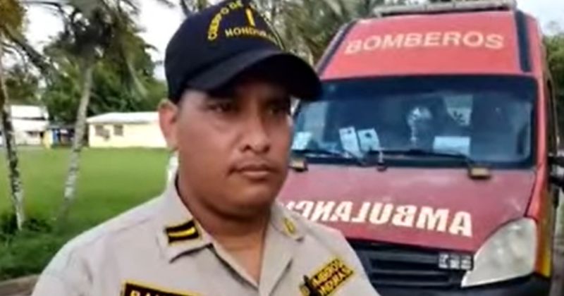 Hospitalizan a 6 personas por picadas de abejas africanas en La Ceiba