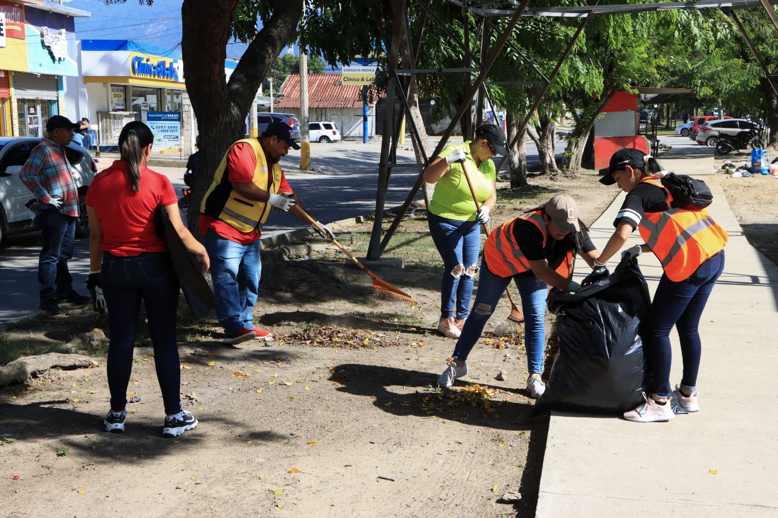 Voluntariado 