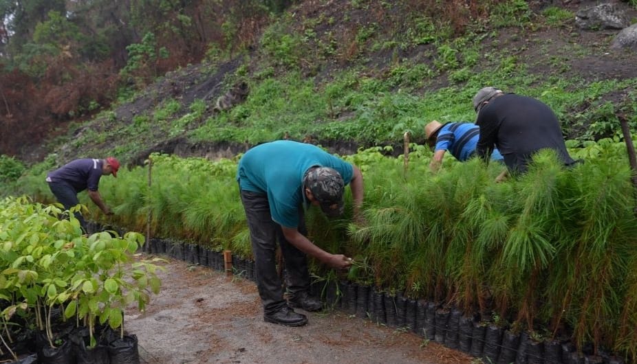 Zona de reserva El Merendón 